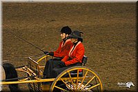 4H-State-Show-2004-0265.jpg