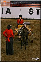 4H-State-Show-2004-0267.jpg