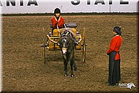 4H-State-Show-2004-0274.jpg