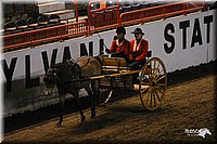 4H-State-Show-2004-0279.jpg