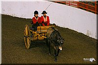 4H-State-Show-2004-0283.jpg