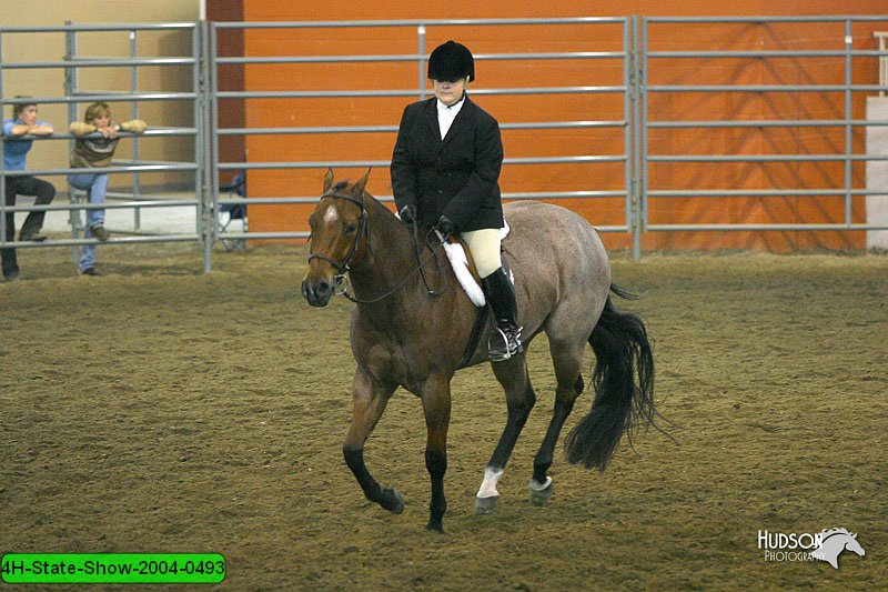 4H-State-Show-2004-0493.jpg