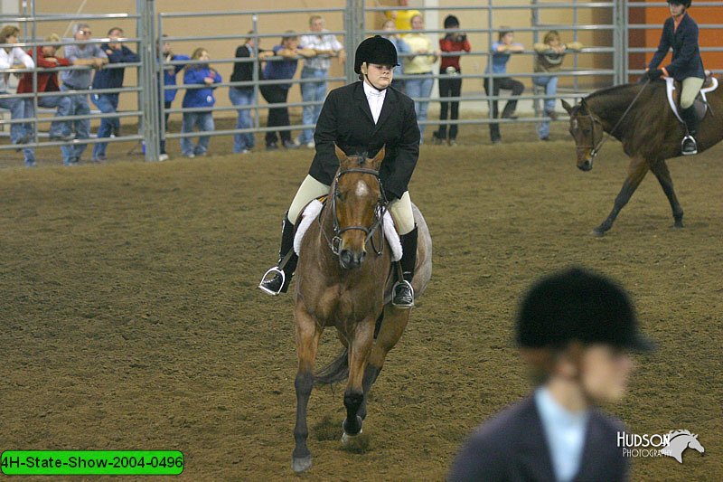 4H-State-Show-2004-0496.jpg