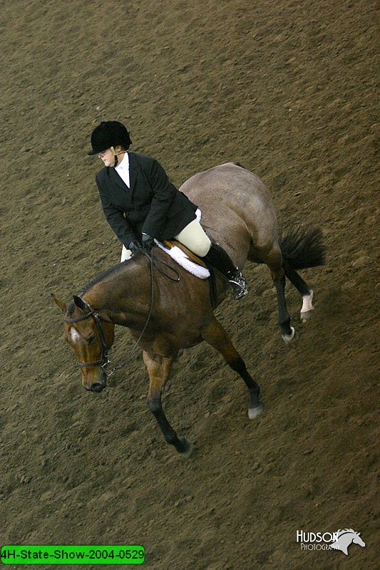 4H-State-Show-2004-0529.jpg