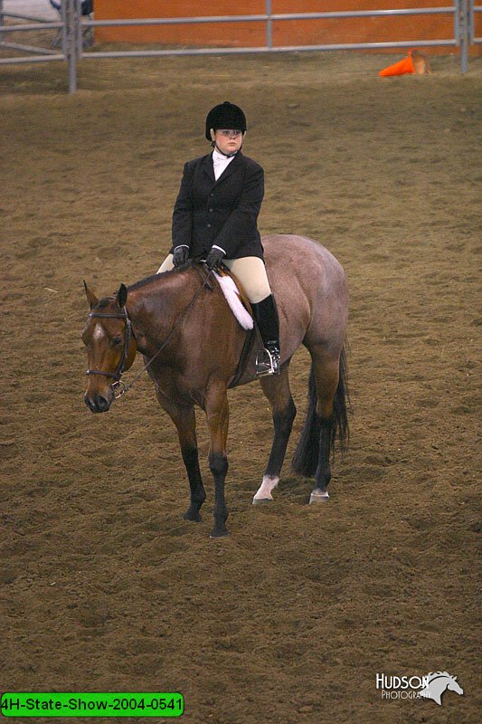 4H-State-Show-2004-0541.jpg