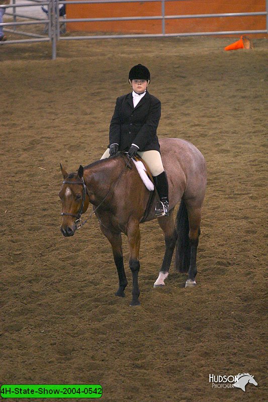 4H-State-Show-2004-0542.jpg