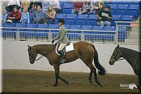 4H-State-Show-2004-0500.jpg