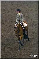 4H-State-Show-2004-0517.jpg