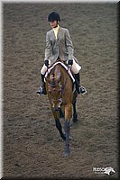 4H-State-Show-2004-0522.jpg