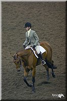 4H-State-Show-2004-0524.jpg