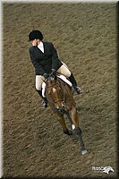 4H-State-Show-2004-0527.jpg