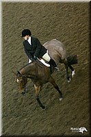 4H-State-Show-2004-0529.jpg