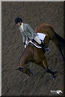 4H-State-Show-2004-0537.jpg