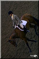 4H-State-Show-2004-0538.jpg