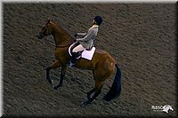 4H-State-Show-2004-0539.jpg