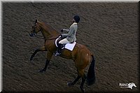 4H-State-Show-2004-0540.jpg