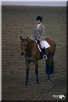 4H-State-Show-2004-0545.jpg