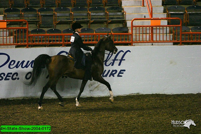 4H-State-Show-2004-0172.jpg