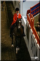 4H-State-Show-2004-0131.jpg