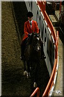 4H-State-Show-2004-0134.jpg