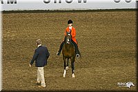 4H-State-Show-2004-0137.jpg