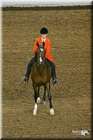 4H-State-Show-2004-0141.jpg