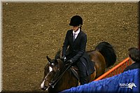 4H-State-Show-2004-0174.jpg