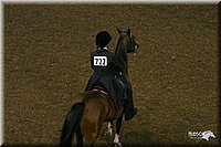 4H-State-Show-2004-0175.jpg