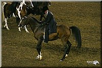 4H-State-Show-2004-0176.jpg