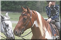 4H-1st-Show-2005-1014.jpg