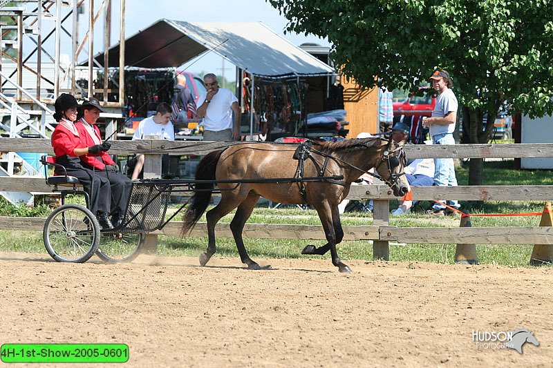 4H-1st-Show-2005-0601.jpg