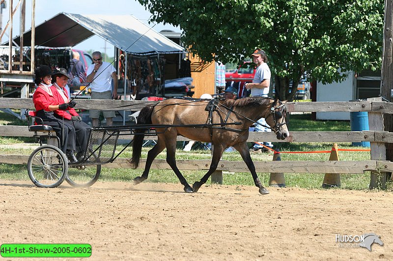 4H-1st-Show-2005-0602.jpg