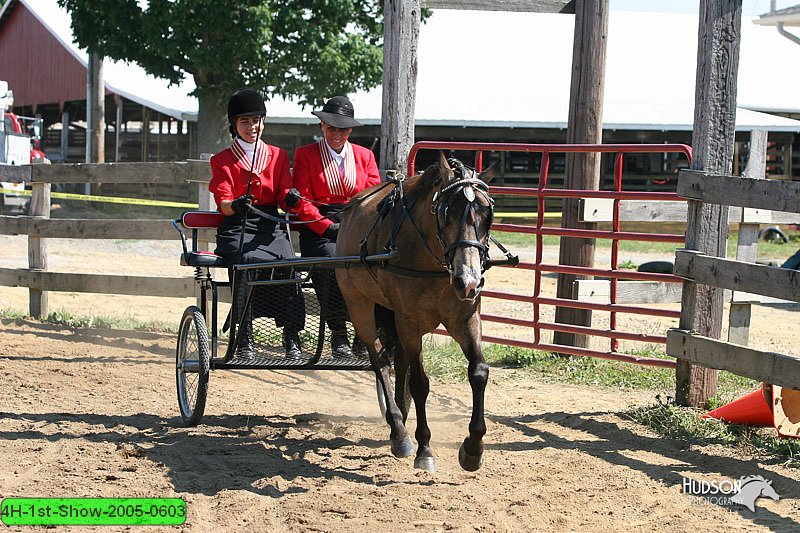 4H-1st-Show-2005-0603.jpg