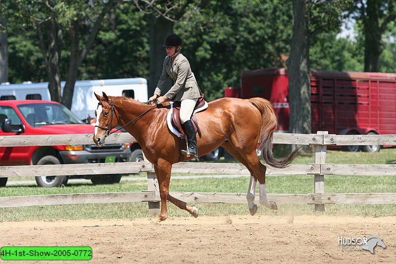 4H-1st-Show-2005-0772.jpg