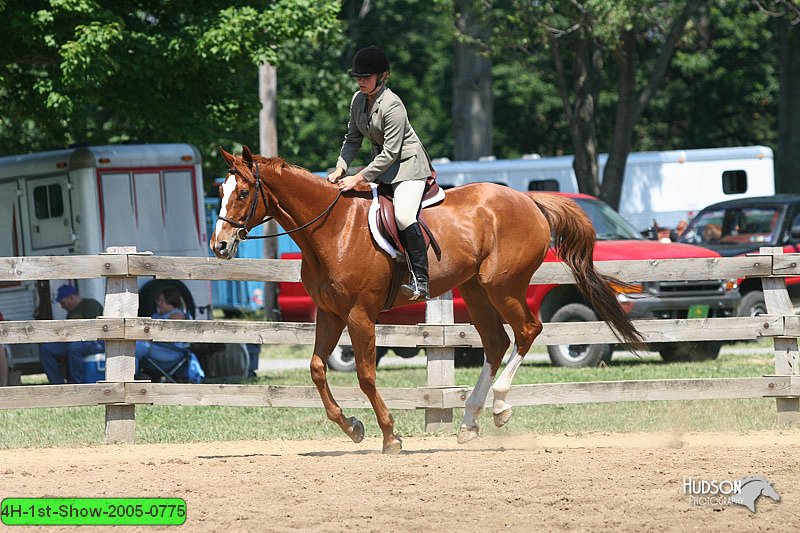 4H-1st-Show-2005-0775.jpg