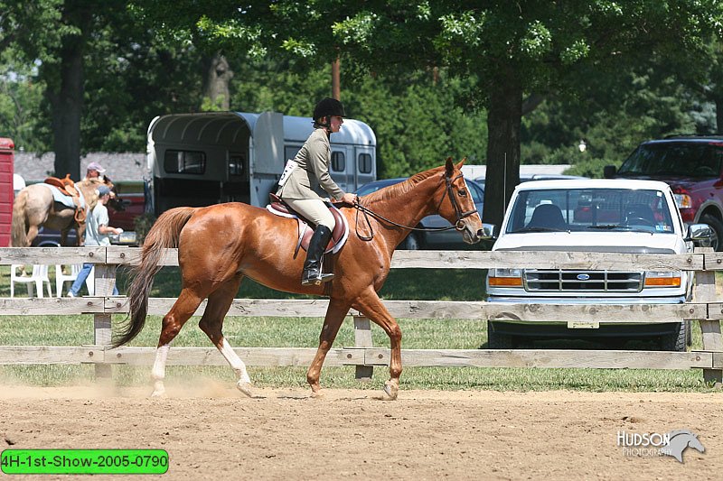 4H-1st-Show-2005-0790.jpg