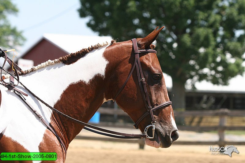 4H-1st-Show-2005-0801.jpg