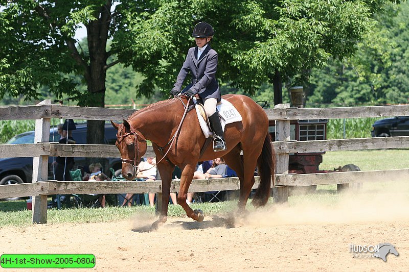 4H-1st-Show-2005-0804.jpg