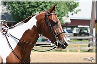 4H-1st-Show-2005-0797.jpg