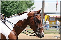 4H-1st-Show-2005-0798.jpg