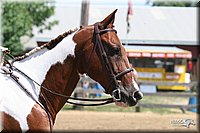 4H-1st-Show-2005-0799.jpg