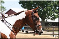 4H-1st-Show-2005-0801.jpg