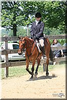 4H-1st-Show-2005-0828.jpg