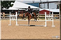 4H-1st-Show-2005-1168.jpg