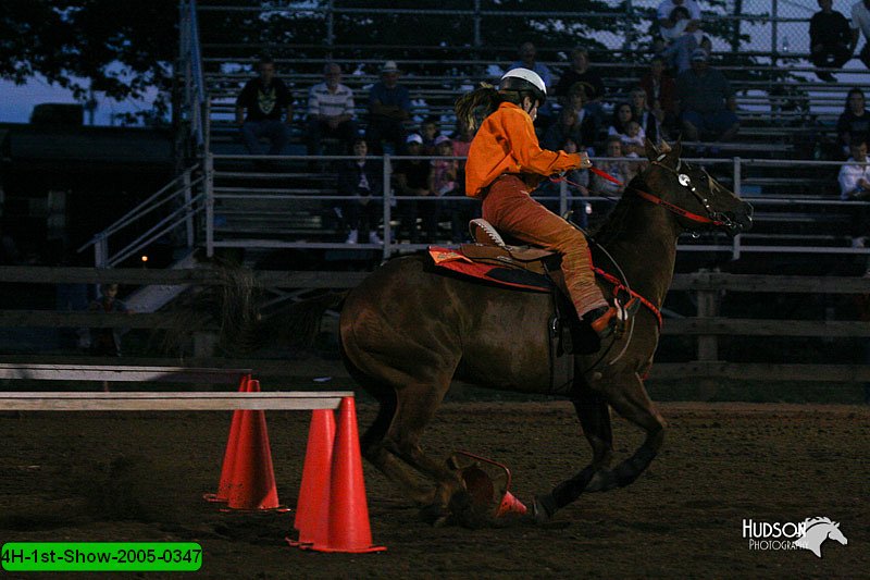 4H-1st-Show-2005-0347.jpg