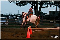 4H-1st-Show-2005-0328.jpg