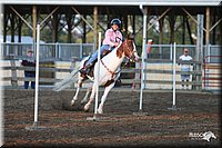 4H-1st-Show-2005-0164.jpg