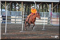 4H-1st-Show-2005-0173.jpg