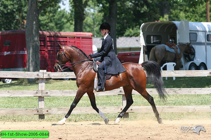 4H-1st-Show-2005-0844.jpg