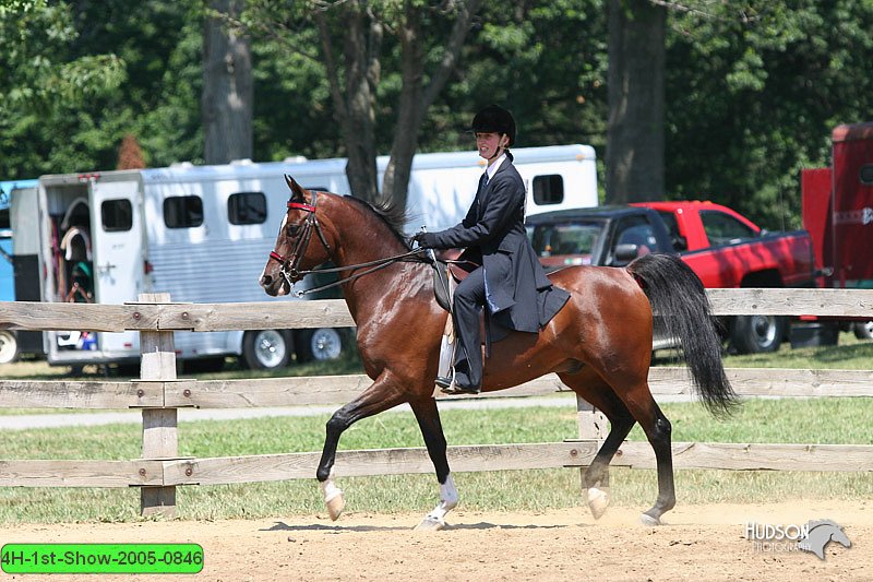 4H-1st-Show-2005-0846.jpg